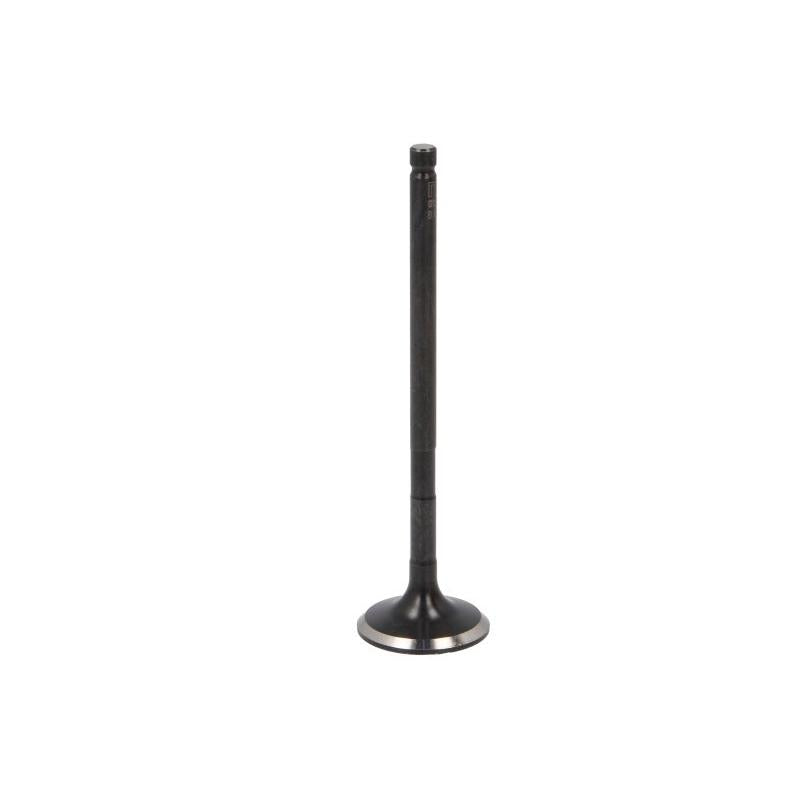 NE 148021000100 Exhaust Valve