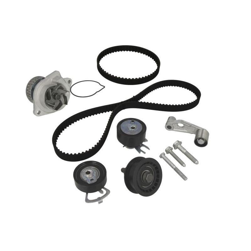INA 530008931 Water Pump & Timing Belt Kit