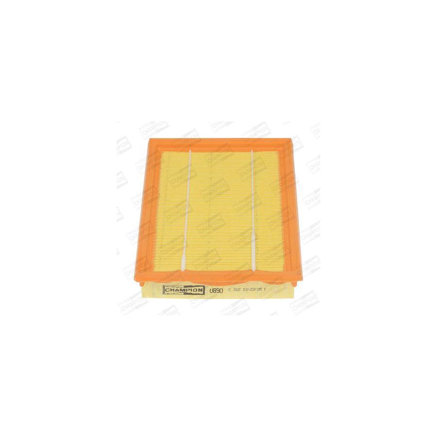 Champion Caf100890P Air Filter