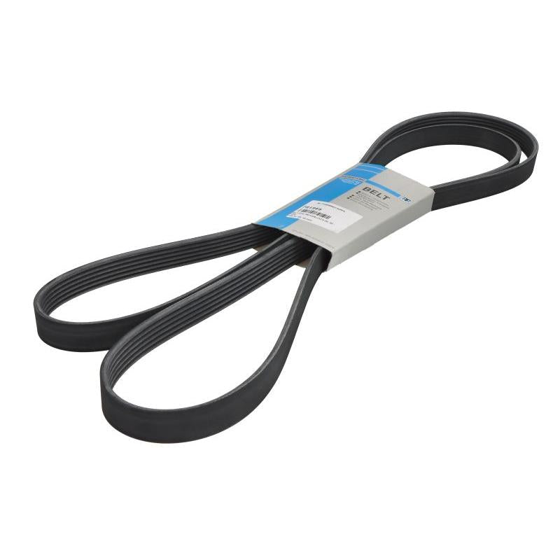 THERMO KING 781949 V-Ribbed Belt