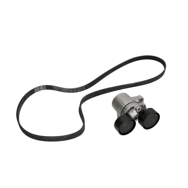 INA 529020610 V-Ribbed Belt Set