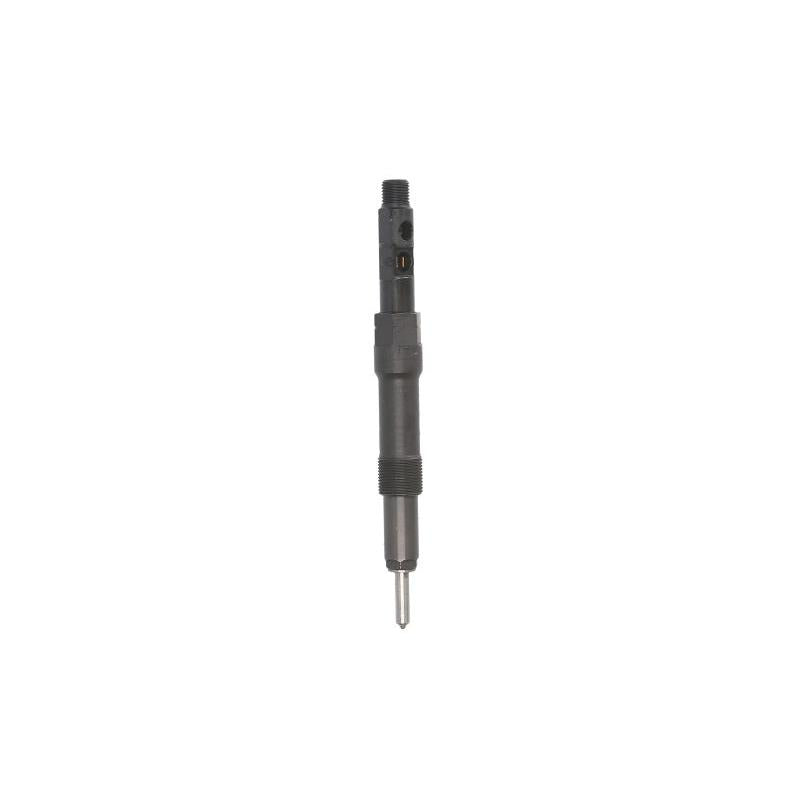 DELPHI R01001D Injector