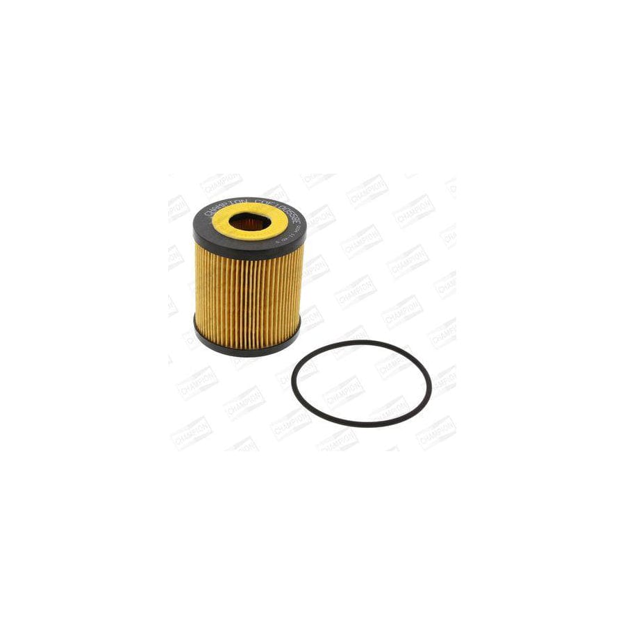 Champion Psg Cch1218 Spark Plug