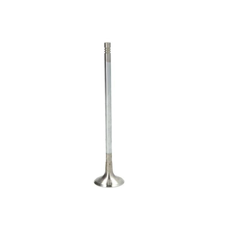 TRW 331130 Exhaust Valve