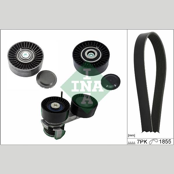 INA 529049310 V-Ribbed Belt Set