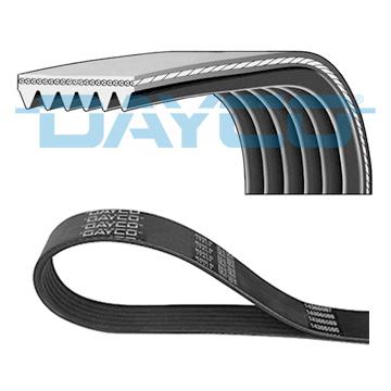 DAYCO DAY6PK2100HD V-Ribbed Belt