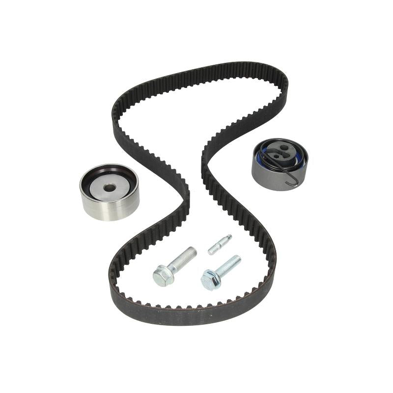 INA 530049110 Timing Belt Set