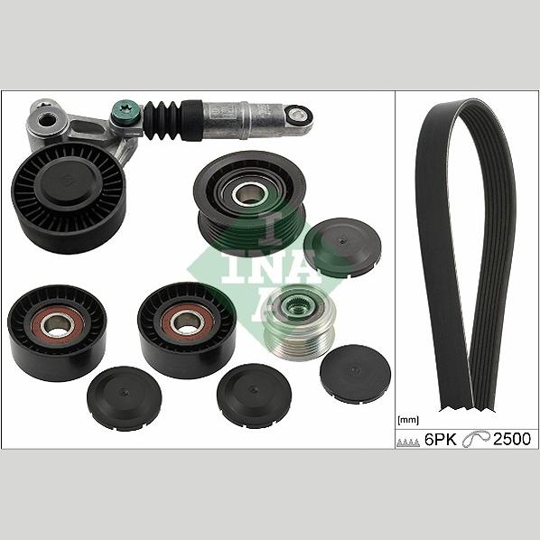INA 529047220 V-Ribbed Belt Set