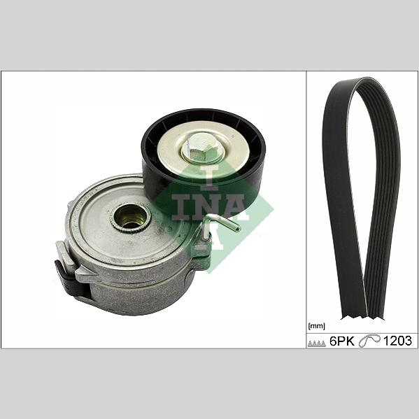 INA 529035710 V-Ribbed Belt Set