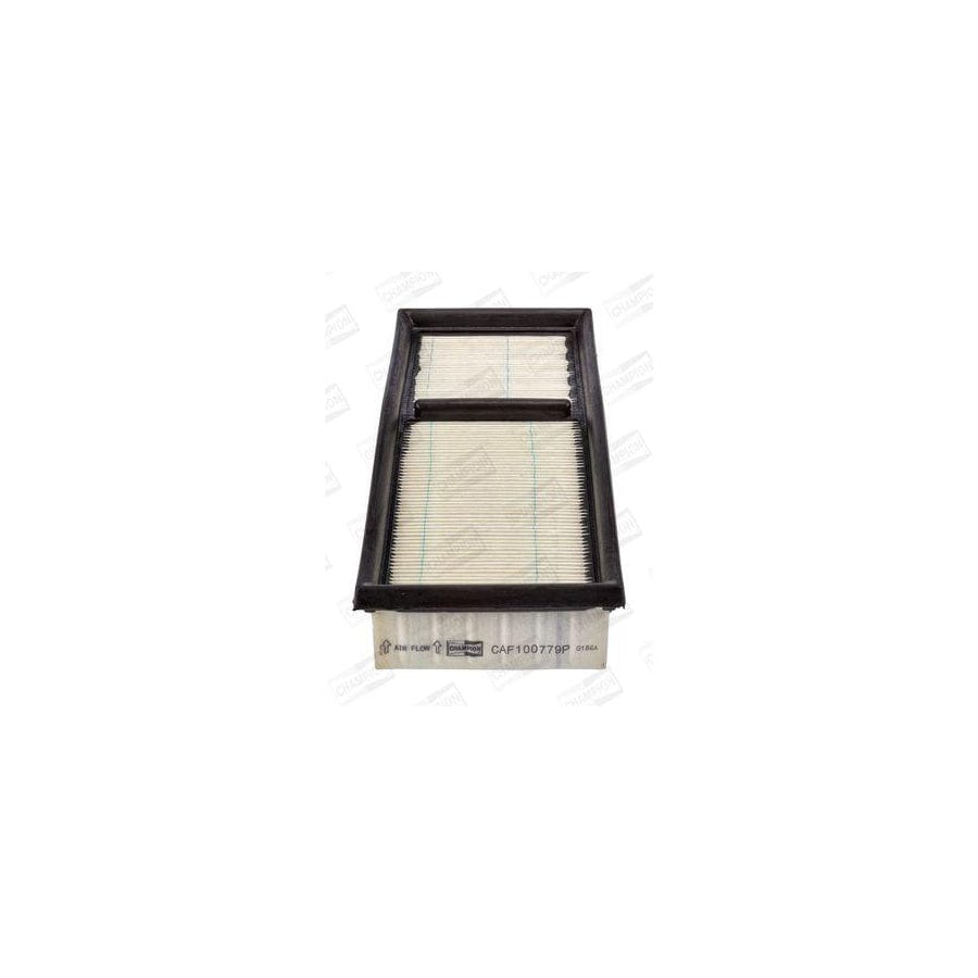 Champion Caf100779P Air Filter