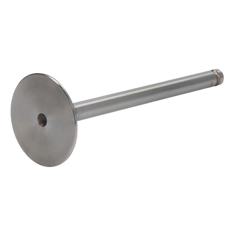 VAPORMATIC VPA1060 Intake Valve