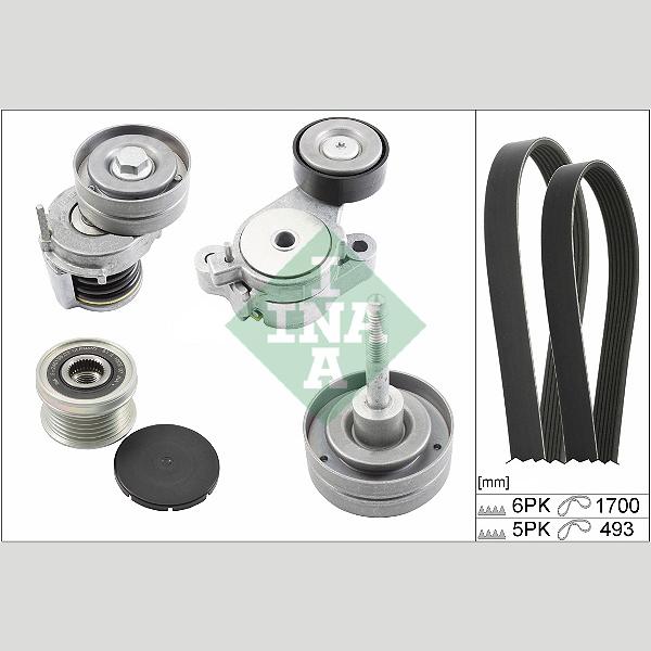 INA 529051920 V-Ribbed Belt Set