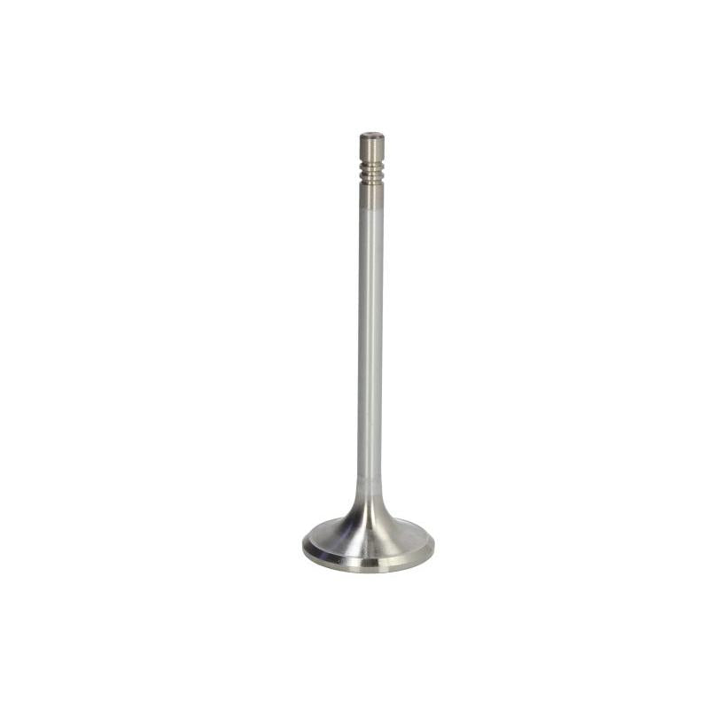 NE 147037002200 Intake Valve
