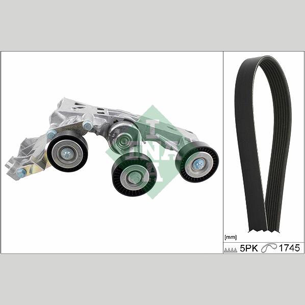 INA 529014810 V-Ribbed Belt Set
