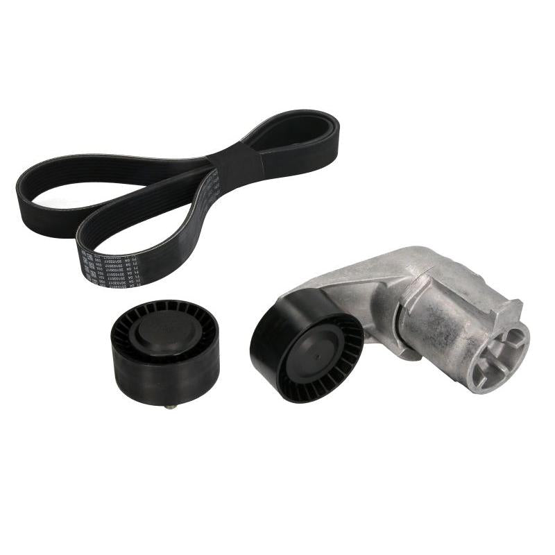 INA 529021010 V-Ribbed Belt Set