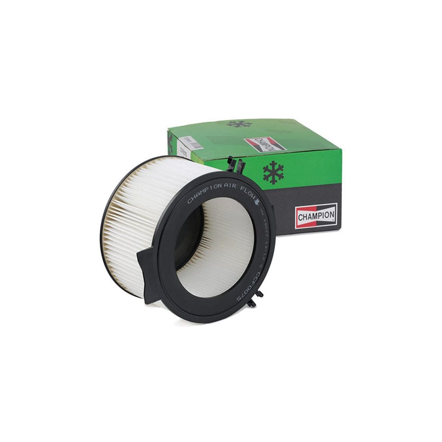 Champion Ccf0075 Pollen Filter
