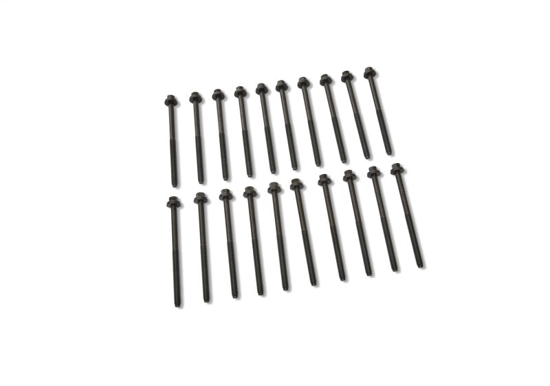 Ford Racing 5.0L/5.2L Coyote 12MM Long Head Bolt Kit