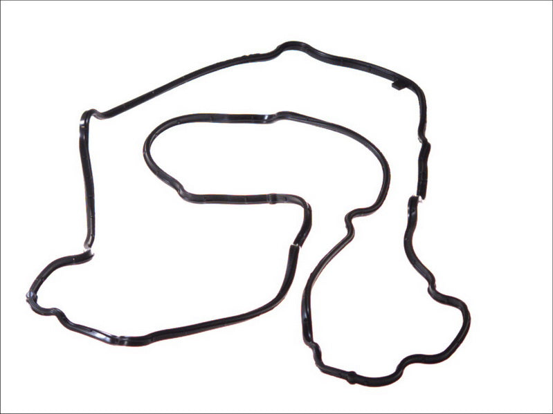 LEMA LE25750.07 Oil Sump Gasket