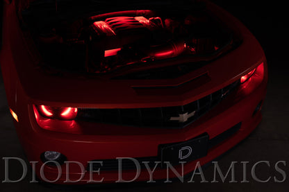 Diode Dynamics RGBW Engine Bay Strip Kit 2pc Multicolor