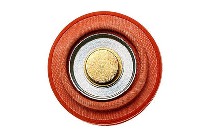 Radium Engineering FPR Spring- Wide Range (Use with Radium MPR, DMR, and FST-R)