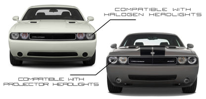 ORACLE Lighting Oracle Dodge Challenger 08-14 Halo Kit - Dynamic - Dynamic
