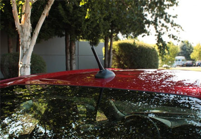 Perrin Performance PERRIN 13-15 Subaru BRZ/Crosstrek & 14-15 Forester / 13-15 Scion FR-S Shorty Antenna - 2in. Mast