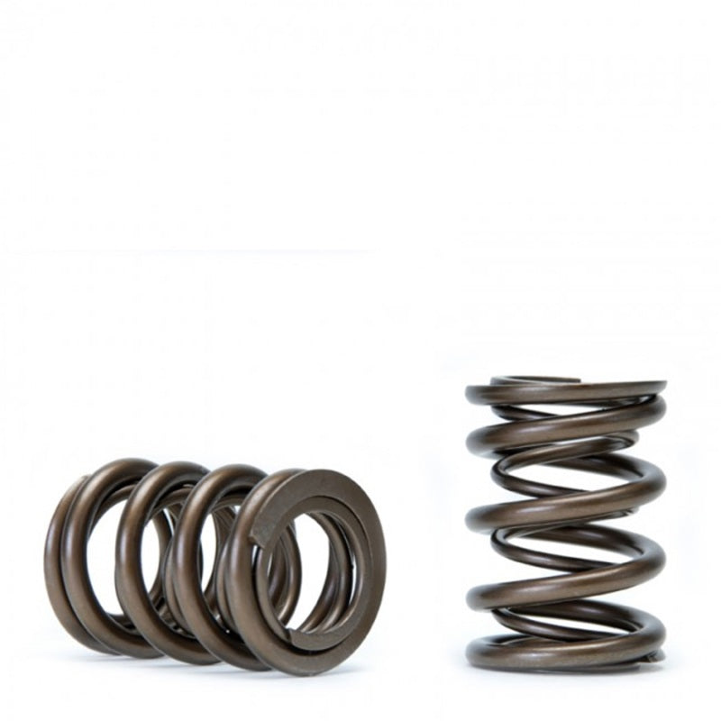 Skunk2 Racing Skunk2 Tuner Series Honda/Acura (H22A/F20B) DOHC VTEC Alpha Valve Spring Set (Dual Springs)