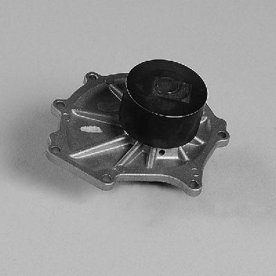 HEPU P7981 Water Pump