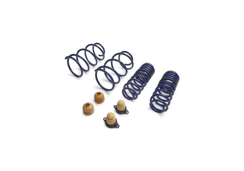 Ford Racing 2012-2013 BOSS 302 Lowering Springs