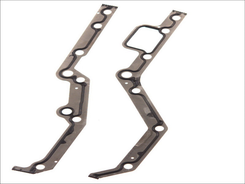 ELRING EL382900 Timing Case Gasket Kit