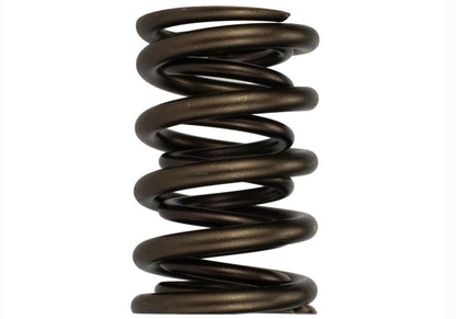 Ford Racing Replacement Hydraulic Roller Valve Spring - Single (For M-6049-SCJA)