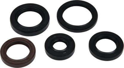 Vertex Pistons Vertex Gaskets 05-23 Polaris Phoenix 200 Oil Seal Kit