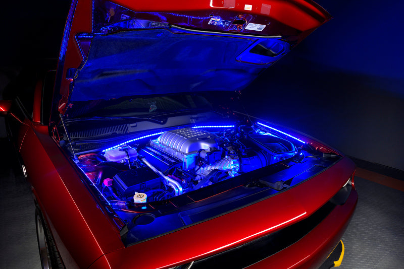 ORACLE Lighting Oracle Engine Bay LED Kit 48in - Blue