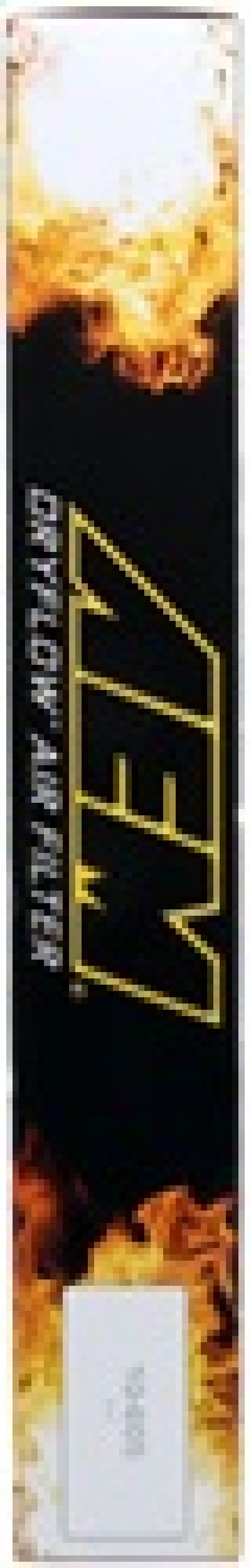 AEM Induction AEM 02-10 VW Touareg, 02-09 Porsche Cayenne Panel Filter