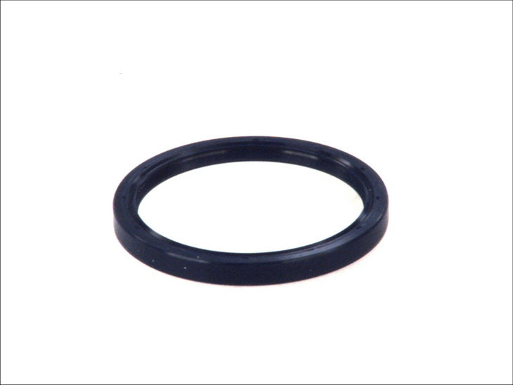 REINZ 81-53816-00 Crankshaft Shaft Seal