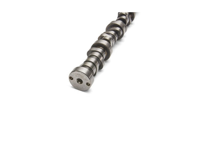 Ford Racing Small Block V-8 Hydraulic Roller Tappet Camshafts