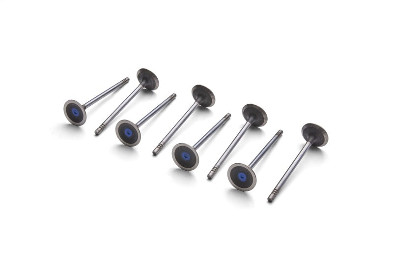 Ford Racing Coyote 5.2L Lightweight Exhaust Valve - Set of 8