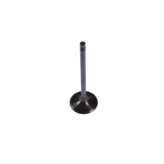 BLUE PRINT ADJ136110 Intake Valve