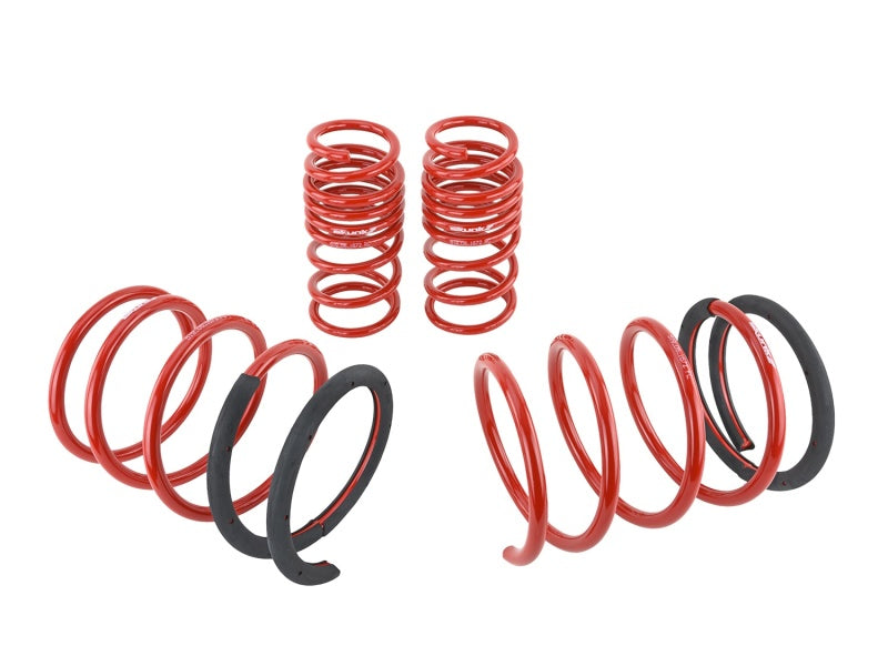 Skunk2 Racing Skunk2 05-06 Acura RSX Lowering Springs (2.25in - 2.00in.) (Set of 4)