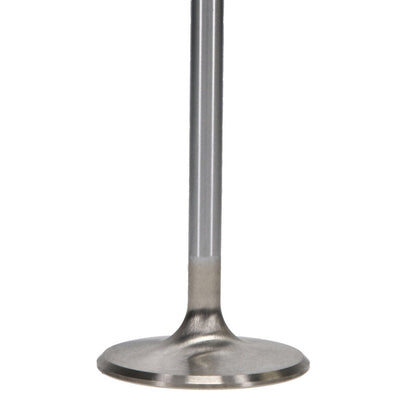 Manley Performance Manley 99-12 Ford V8 4.6L/281 5.4/330 45.5mm Race Series Stainless Steel Intake Valves (Set of 8)