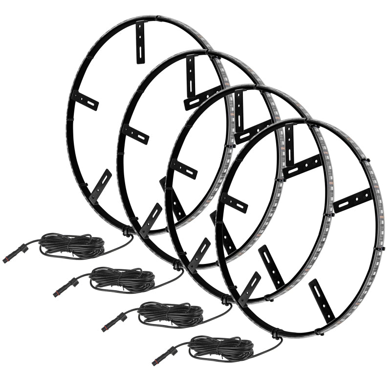 ORACLE Lighting Oracle LED Illuminated Wheel Rings - Double LED - White