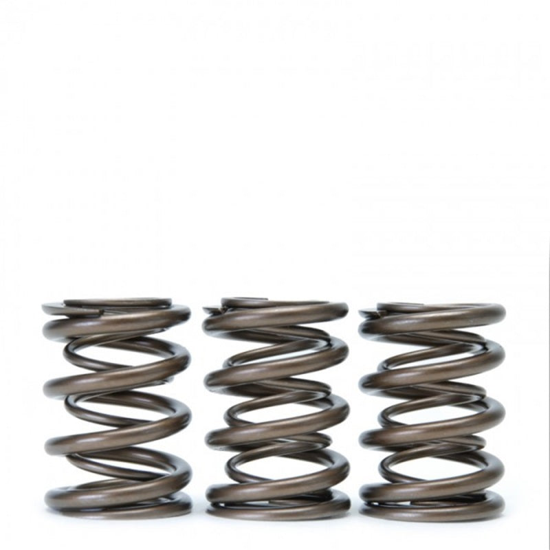 Skunk2 Racing Skunk2 Tuner Series Honda/Acura (B16A/ B17A/ B18C) DOHC VTEC Alpha Valve Spring Set (Dual Springs)