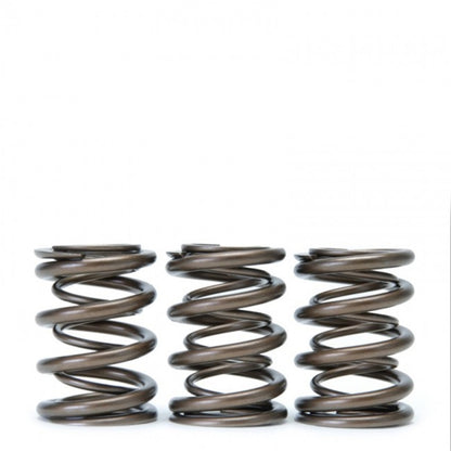 Skunk2 Racing Skunk2 Tuner Series Honda/Acura (B16A/ B17A/ B18C) DOHC VTEC Alpha Valve Spring Set (Dual Springs)