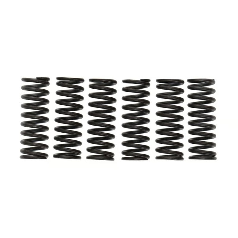 Wiseco 87-04 Kawasaki KX500 Clutch Spring Kit