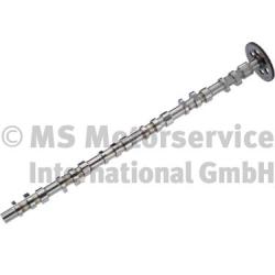 BF 20100347103 Camshaft