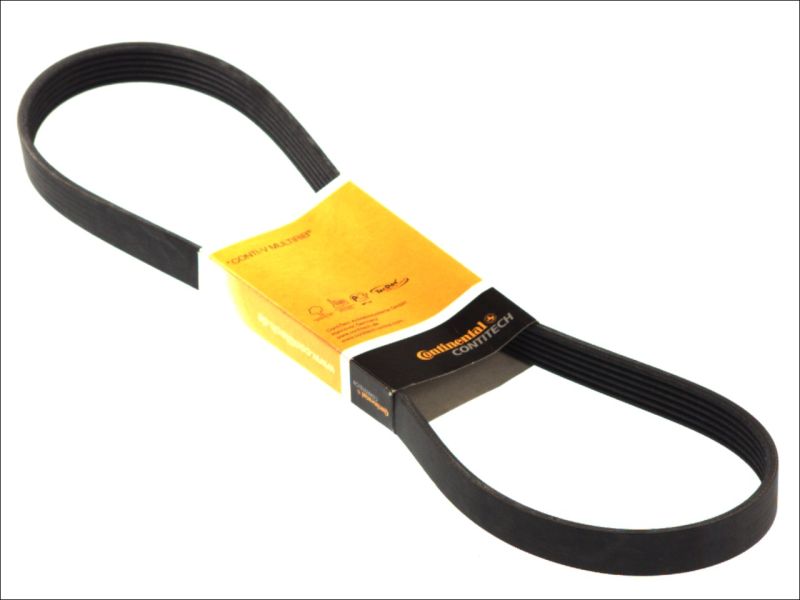 CONTITECH 6PK691ELAST V-Ribbed Belt