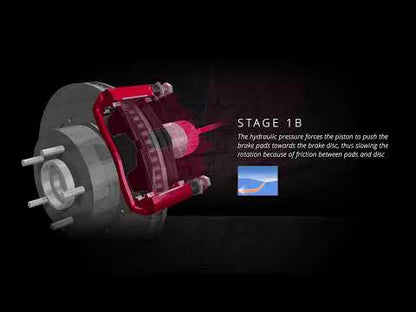 MINTEX MDK0260 Brake Pad & Disc Kit fits -Honda (also fits other vehicles)