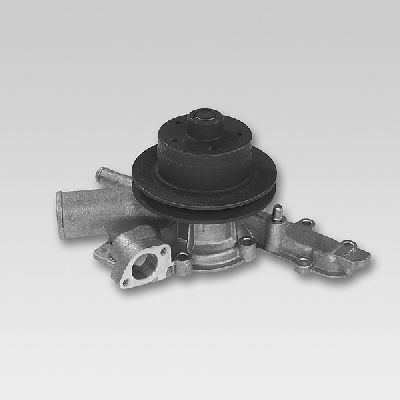 HEPU P1083 Water Pump