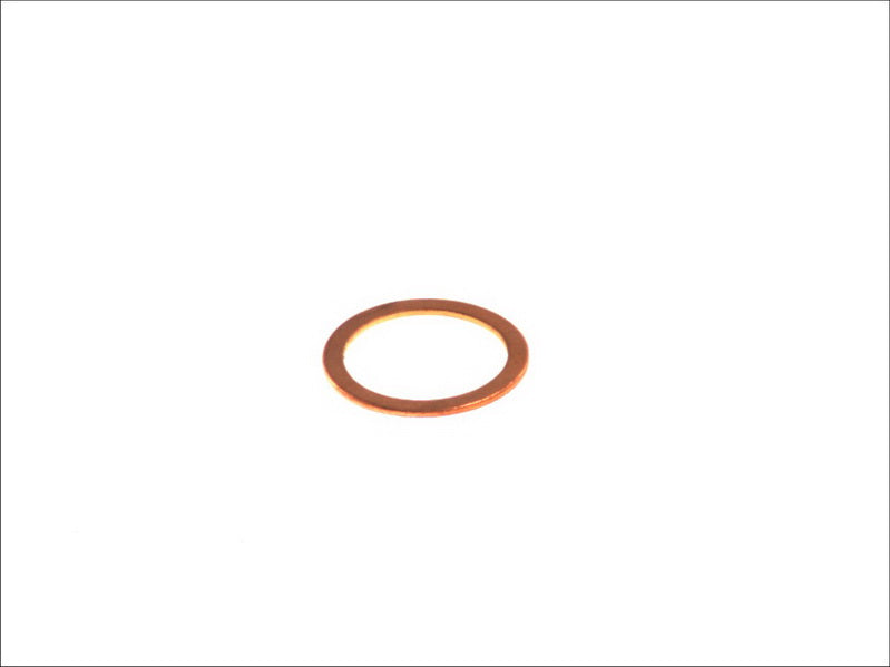 LEMA LERR202610 Water Pump Gasket