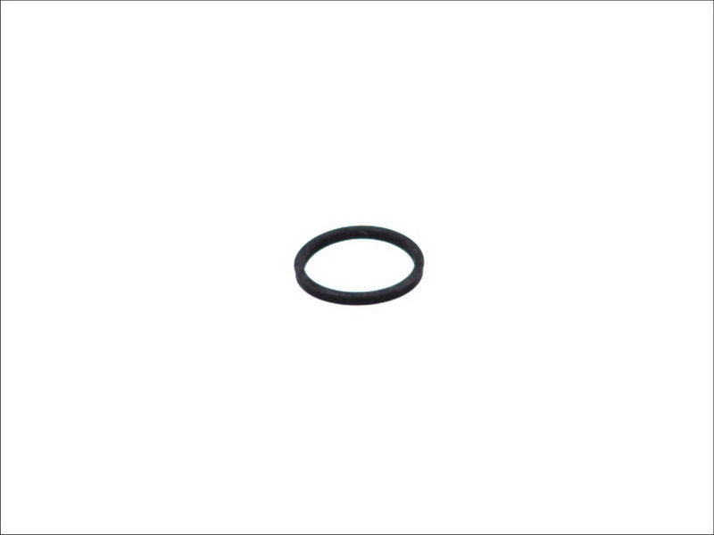 HANS PRIES 100-677 Injector Seal Ring